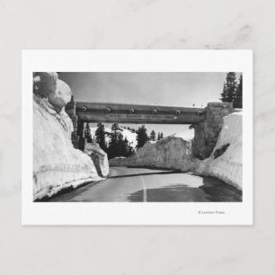 Mt. Rainier, WA Chinook Pass Summit Naches Pass Postcard