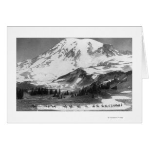 Mt. Rainier, WA Crossing Mazama Ridge on Horse