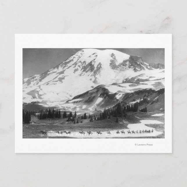 Mt. Rainier, WA Crossing Mazama Ridge on Horse Postcard (Front)