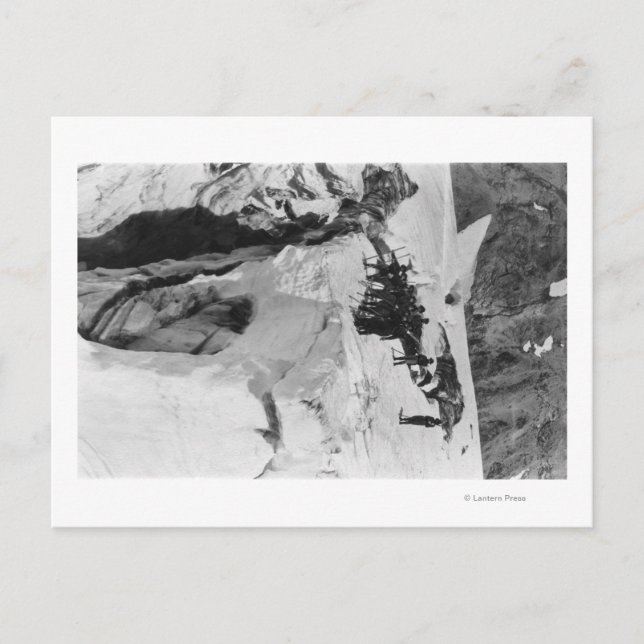 Mt. Rainier, WA Nisqually Glacier Climbers Postcard (Front)