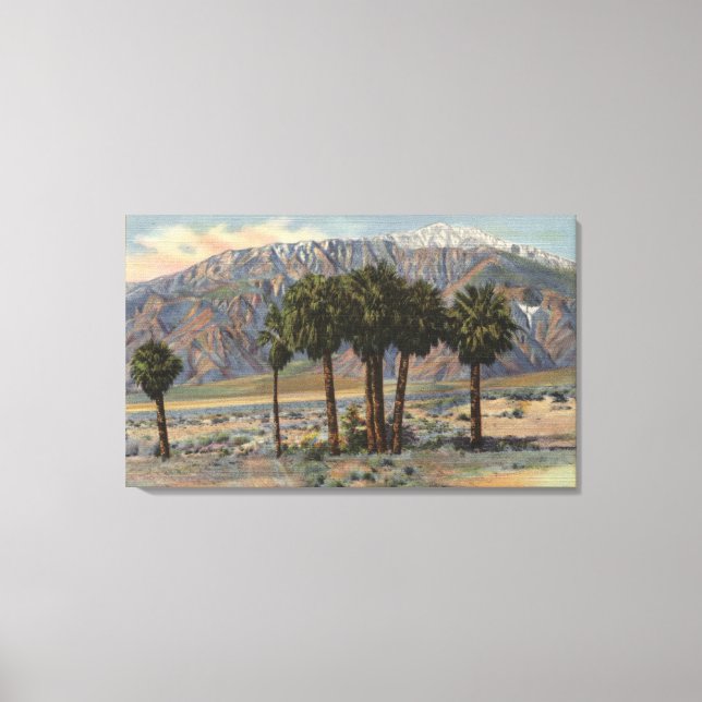 Mt. San Jacinto Angel View through Palm Trees Canvas Print (Front)