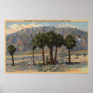 Mt. San Jacinto Angel View through Palm Trees Poster