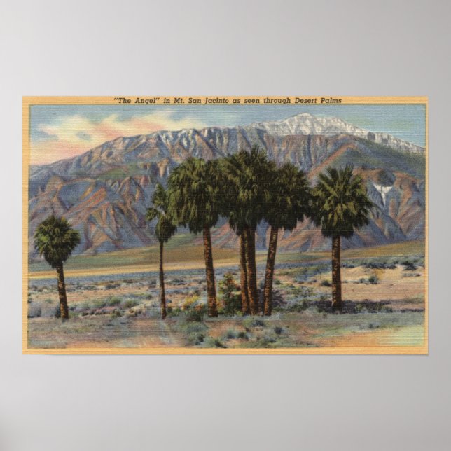 Mt. San Jacinto Angel View through Palm Trees Poster (Front)