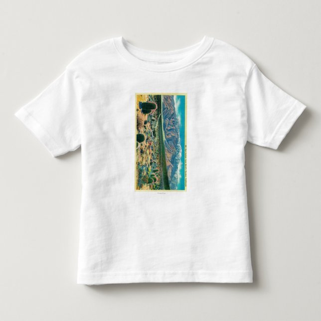 Mt. San Jacinto from Devil's Garden Toddler T-Shirt (Front)