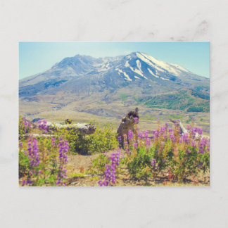 Mt. St. Helens Postcard
