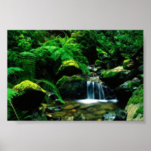Mt. Tamalpais State Park, CA Poster