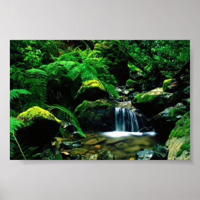 Mt. Tamalpais State Park, CA Poster (Front)