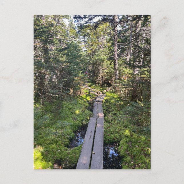 Mt. Tom New Hampshire Postcard (Front)