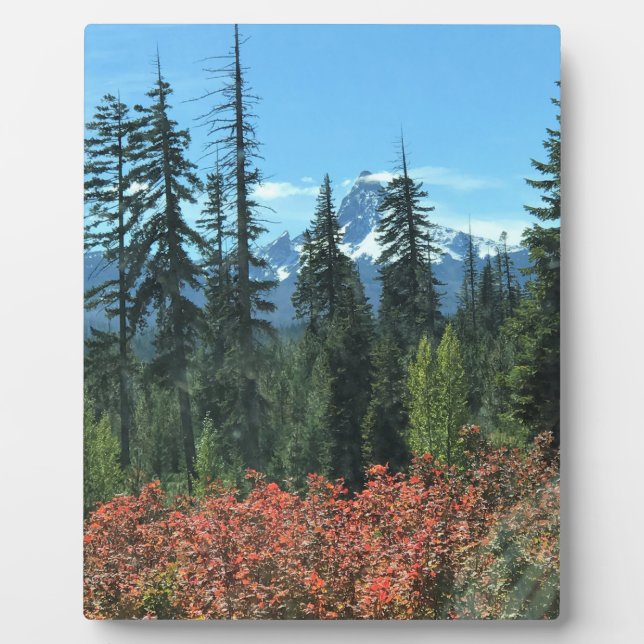 Mt. Washington in Autumn, OR Plaque (Front)