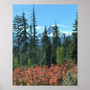 Mt. Washington in Autumn, OR Poster