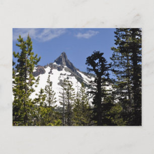 Mt. Washington Postcard