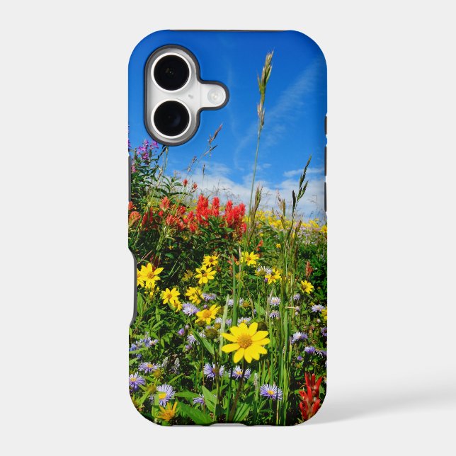 Mt. Wildflowers (Back)