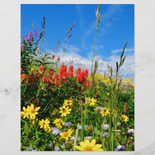 Mt. Wildflowers