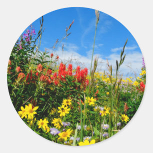 Mt. Wildflowers Classic Round Sticker