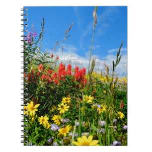 Mt. Wildflowers Notebook