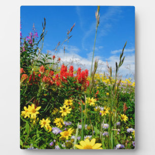 Mt. Wildflowers Plaque