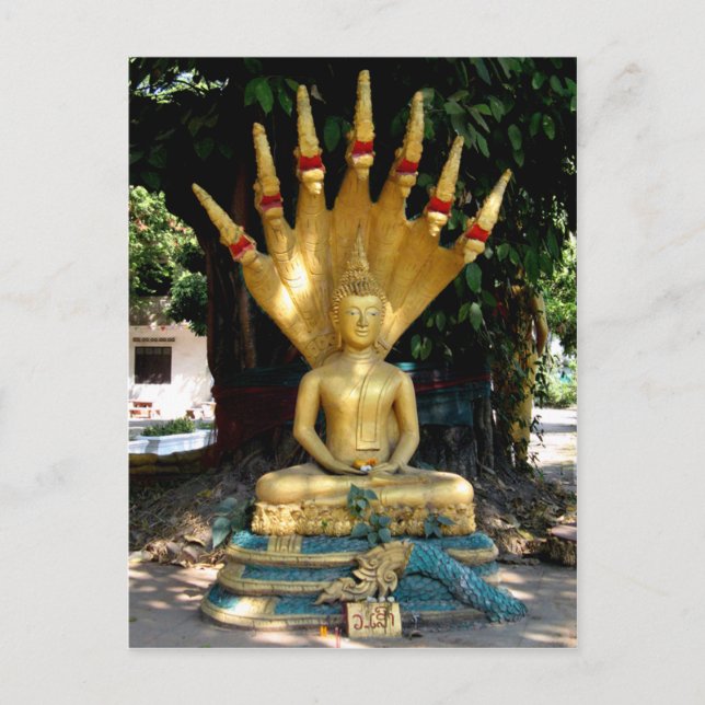 Mucalinda Postcard (Front)