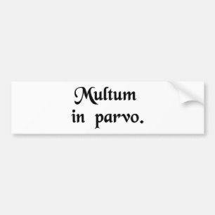 Much in little. bumper sticker