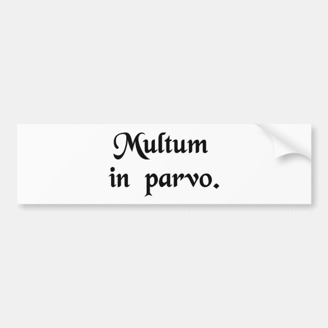 Much in little. bumper sticker (Front)