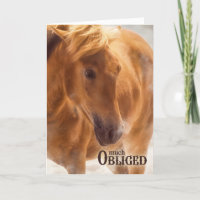 Much Obliged Horse Lover Western