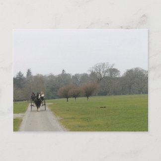 Muckross House, Killarney Ireland Postcard