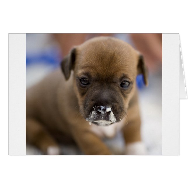 Mucky Puppy (Front Horizontal)