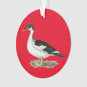 Mucovy Black Pied Duck Ornament