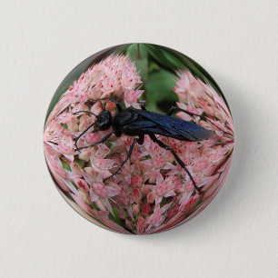 Mud Dauber ~ button