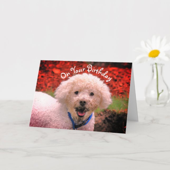 Mud Faced Poodle Cute Birthday Card (Small Plant)