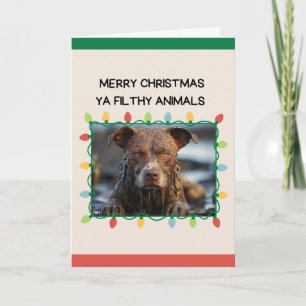 Muddy Brown Dog Funny Christmas Card