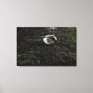 Muddy rugby ball sitting on a chewed up grass canvas print