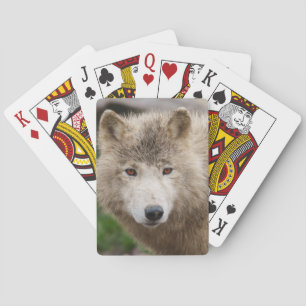 Muddy White Wolf Playing Cards