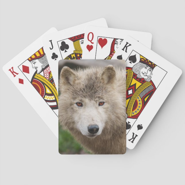 Muddy White Wolf Playing Cards (Back)