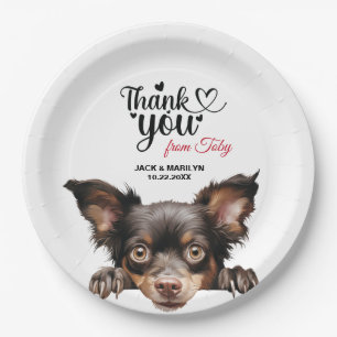 Mudi Dog Paper Plate