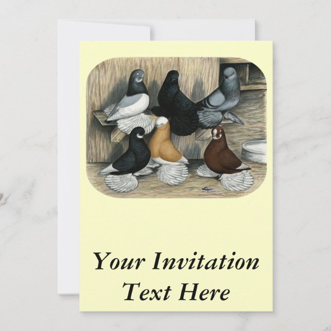 Muffed Tumbler Pigeons Invitation (Front)