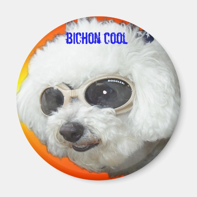 Muffet doggles orig, bichon cool magnet (Front)