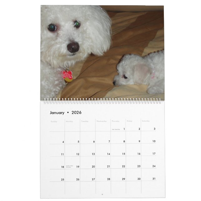 Muffie and Snowie 2008 Calendar (Jan 2026)