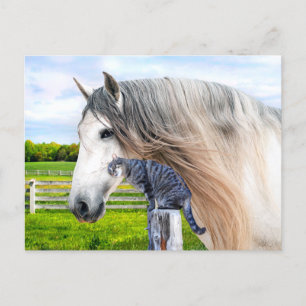 "Muffin & Saraband"  Postcard