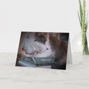 Muffin's Literal holiday card
