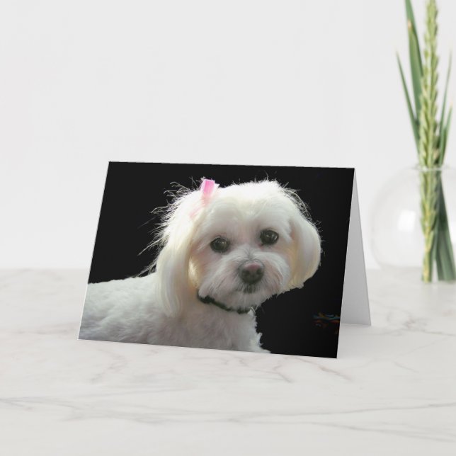 Muffy's pink bow card (Front)