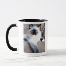 Mug cat