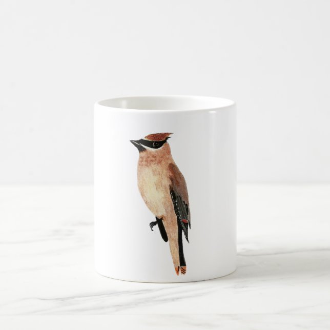 Mug Cedar Waxwing (Center)
