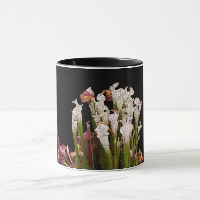 mug, coffee mug (Center)