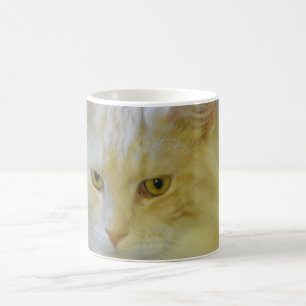 Mug Coffee Pet Maine Coon Cat Bentley