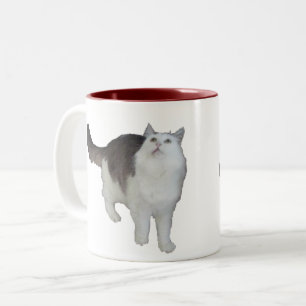 Mug - Concerned Cat