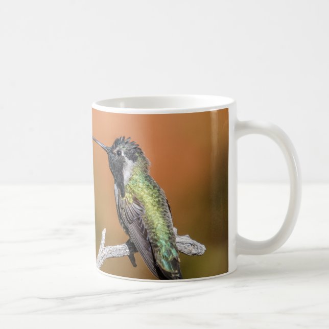 Mug: Costa's Hummingbird #5 (Classic) Coffee Mug (Right)
