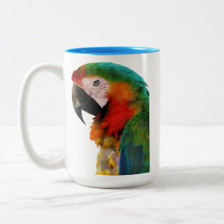 Mug, Cup