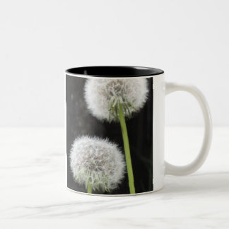 Mug - Dandelions