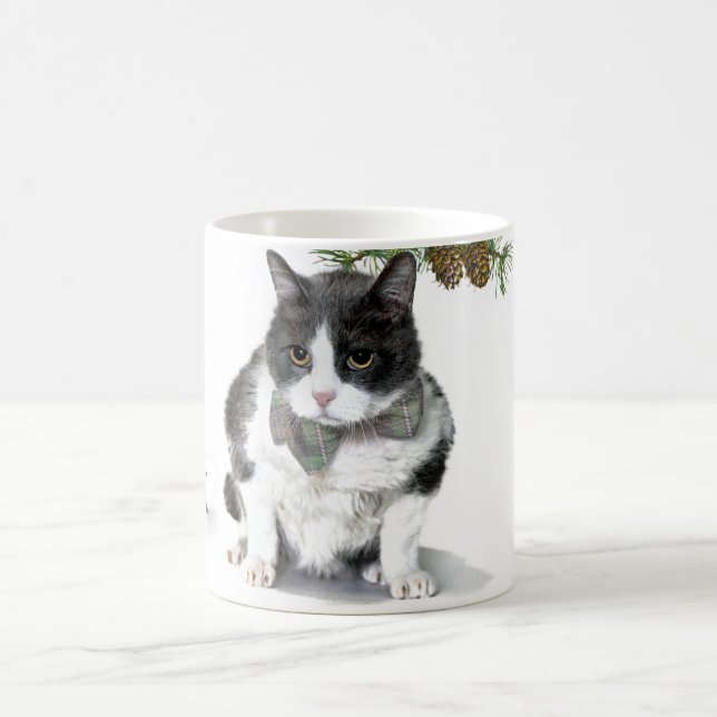 Mug: Felix, the cat, camping in August Coffee Mug (Center)