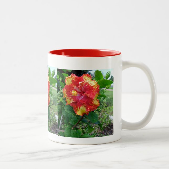 Mug-Hawaiian Prize Hibiscus Two-Tone Coffee Mug (Right)